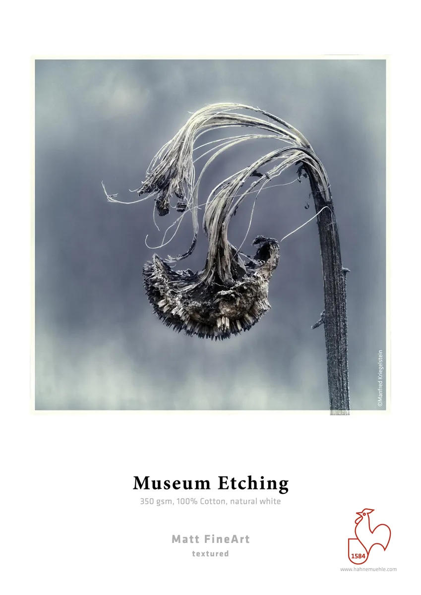 Muestra impresa de Museum Etching