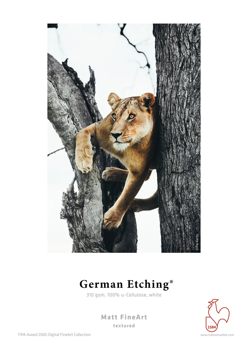 Muestra impresa de German Etching®