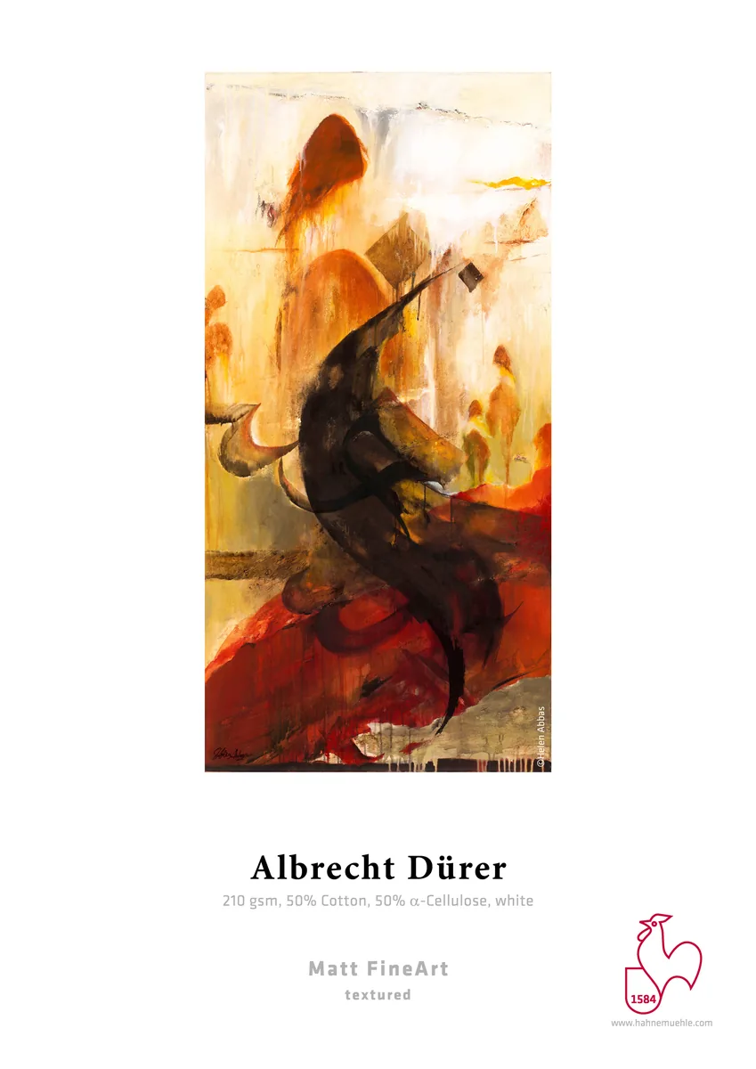 Muestra impresa de Albrecht Dürer