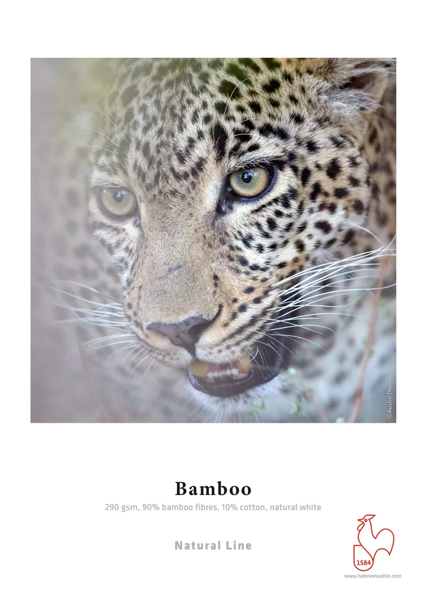 Muestra impresa de Bamboo