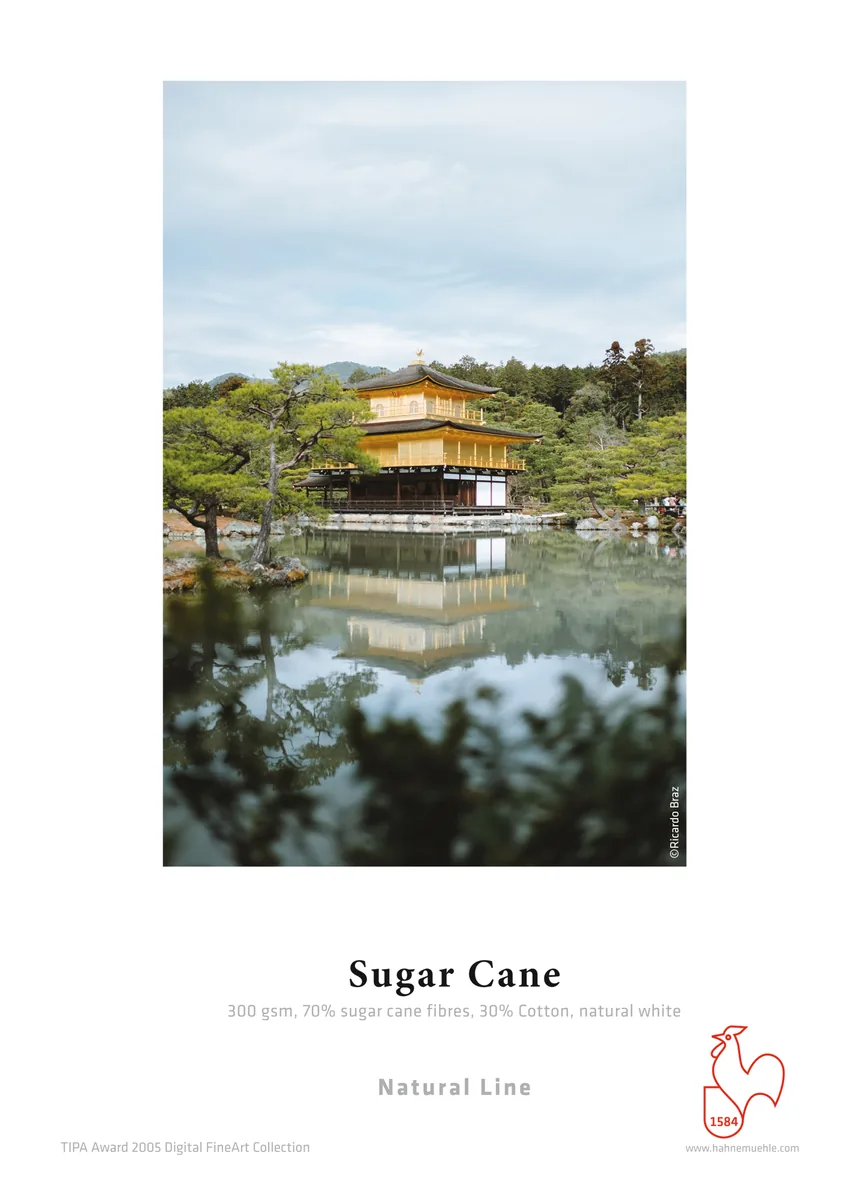 Muestra impresa de Sugar Cane