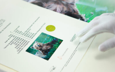 ¿Que es una Impresión Giclée?