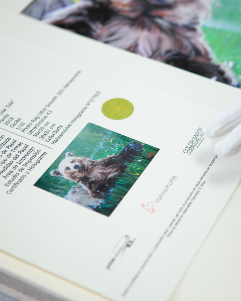 Art conservation paper